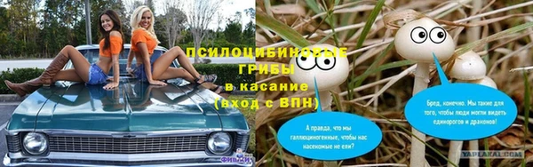 скорость Богданович